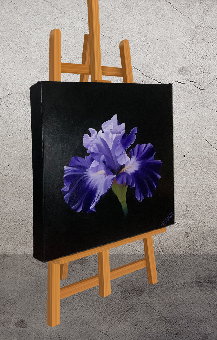 Beauty of the Lord Purple Iris