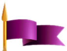 purple flag image